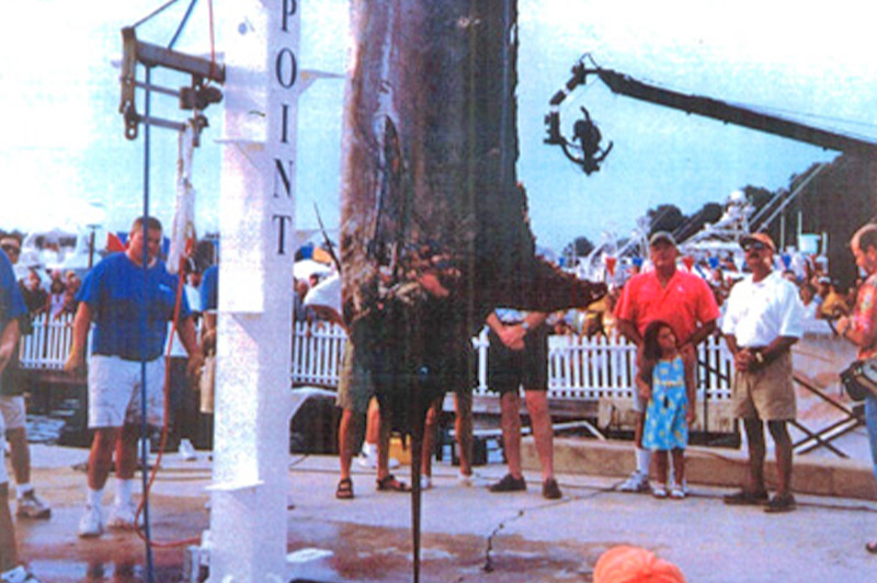 Florida Record Blue Marlin